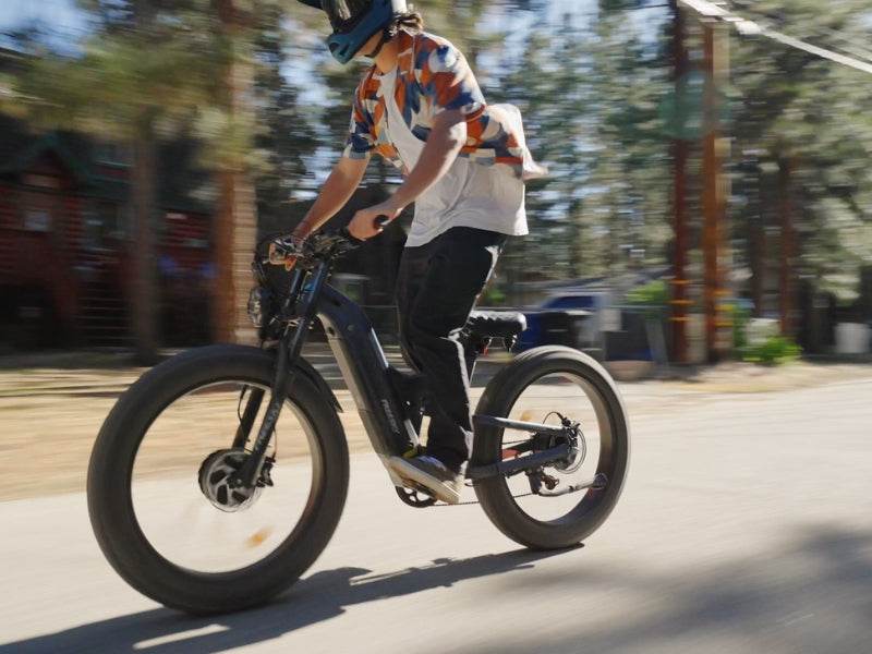Warrior Pro M-530 - FREESKY eBike FR