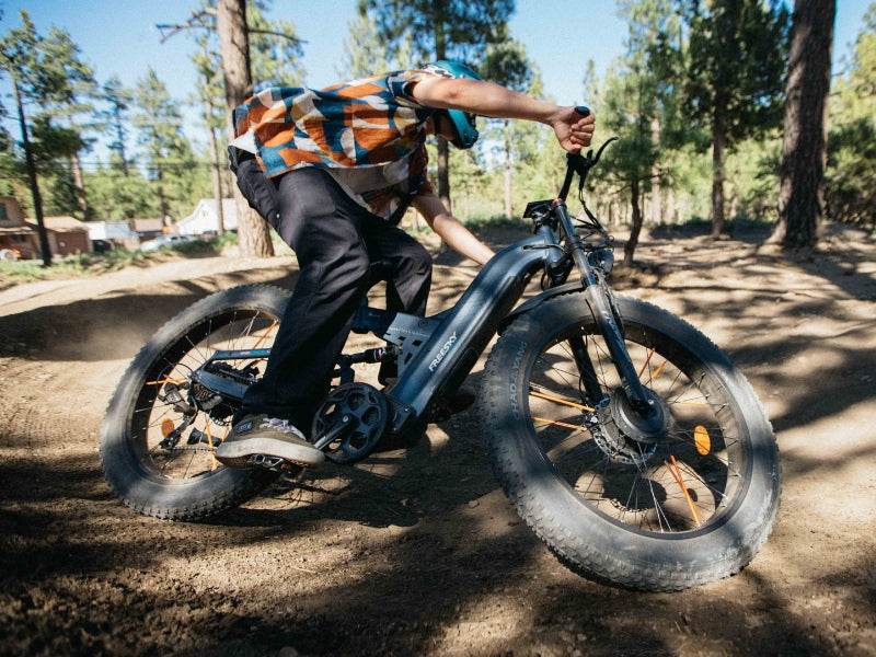 Warrior Pro M-530 - FREESKY eBike FR
